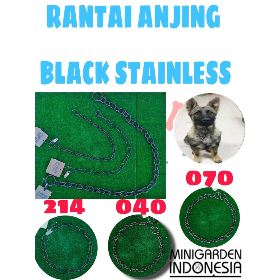 KALUNG RANTAI STAINLESS ANJING dog collar dog chain kalung anjing