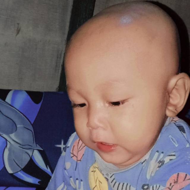 melishaanggraeni