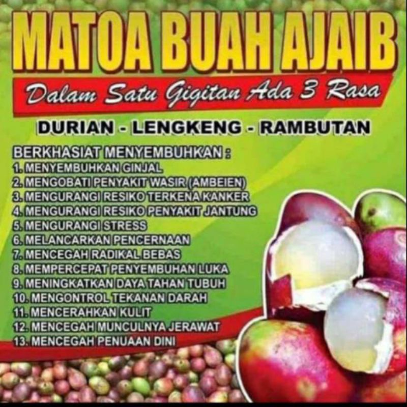 

Buah Matoa Langka