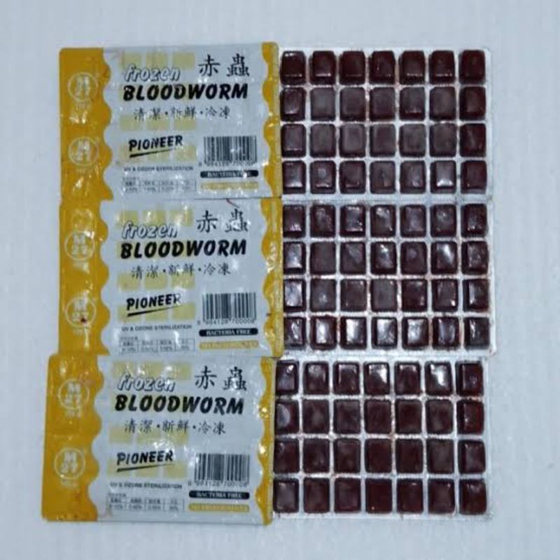 Cacing Beku Pioneer Frozen Bloodworm Cacing Beku Original ONLY GOJEK GRAB