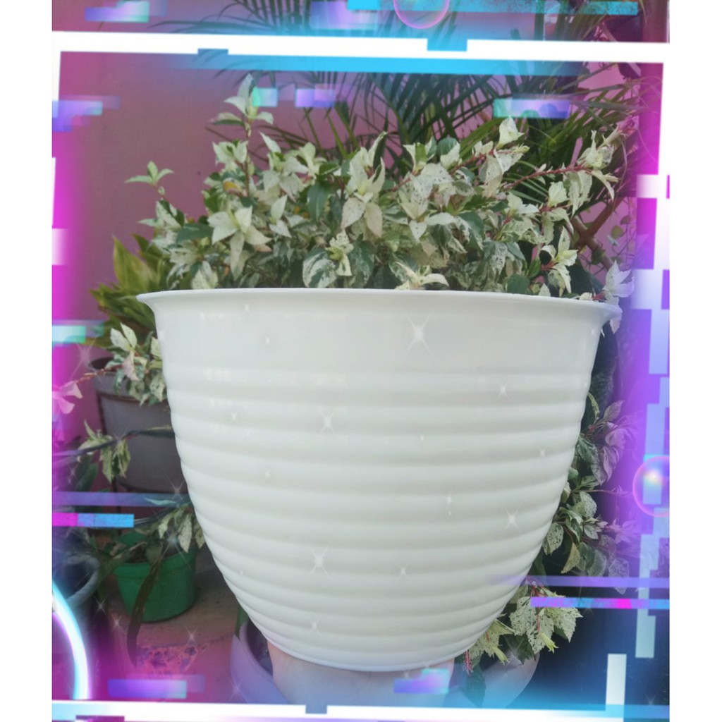 Pot Goccie 30 Putih 24cm Motif Tawon Pot Hias Bunga Plastik 24 Cm Mirip Tawon Pot Tanaman Aglonema