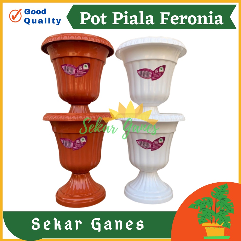 POT PIALA GREEN LEAF FERONIA 6152 PUTIH MERAH BATA TERRACOTA MERAH COKLAT Pot Piala Tinggi Putih Plastik hitam pendek 50 - POT PIALA GREEN LEAF FERONIA 6152 pot bunga pajangan model juara cantik bagus murah