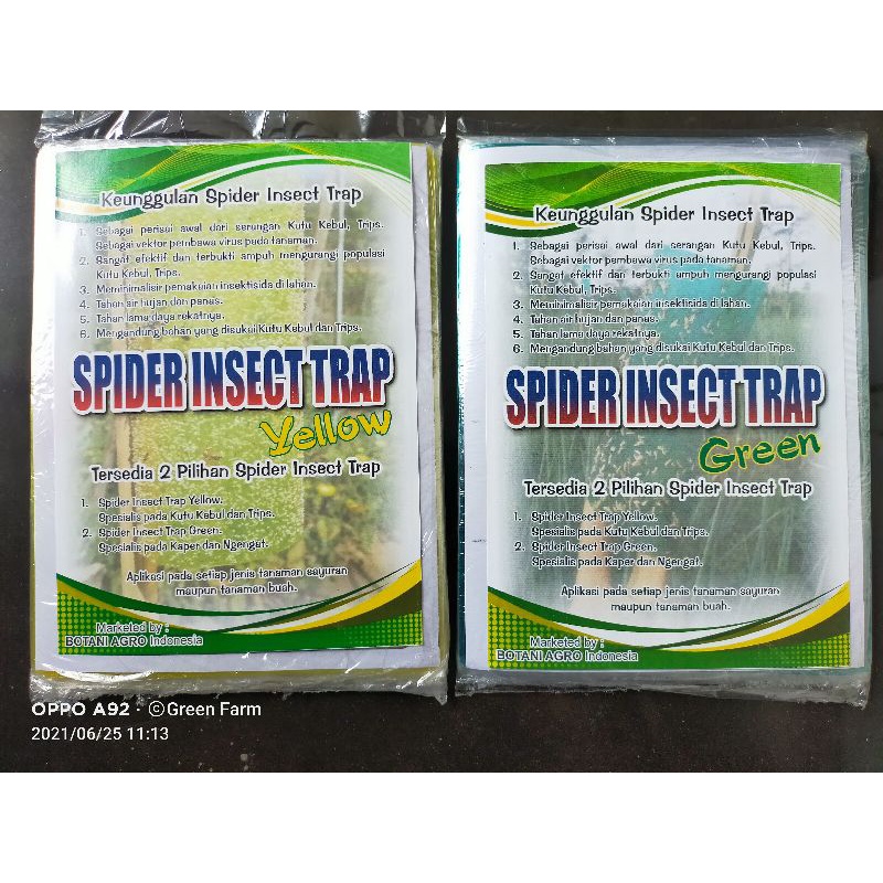 Sale 12.12 Spider Insec Trap isi 20 Lembar Perangkap Hama Serangga lem lalat buah