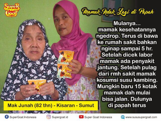 Risna Batik Jumbo Hrb089 C Kemeja Batik Pria Pendek Katun Primis Premium Besar Xxxl 3l 4l 5l