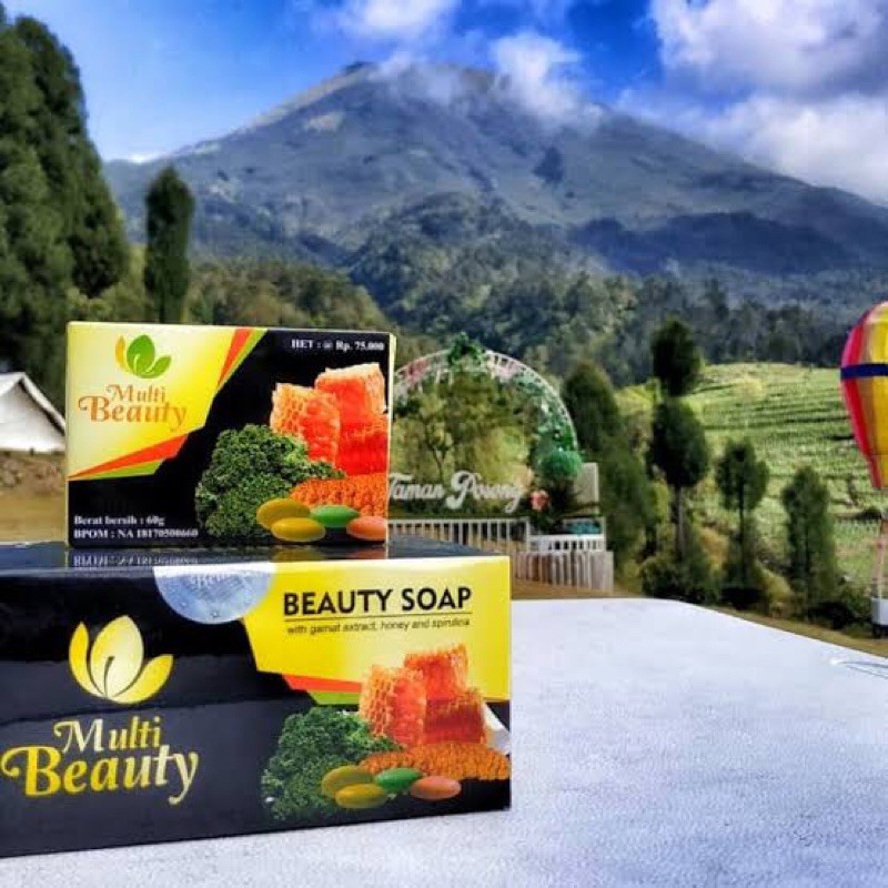Multi Beauty Soap