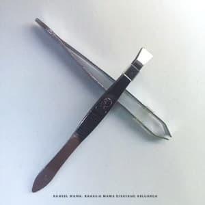 PINSET STAINLESS/PINSET KUMIS/PINSET JENGGOT/PINSET ALIS /PINSET BULU