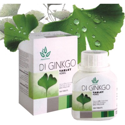 Ginkgo Biloba 60 tablet / 100 tablet