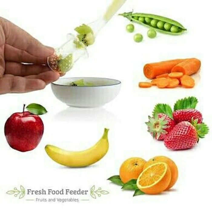 Fruit Feeder Empeng Buah