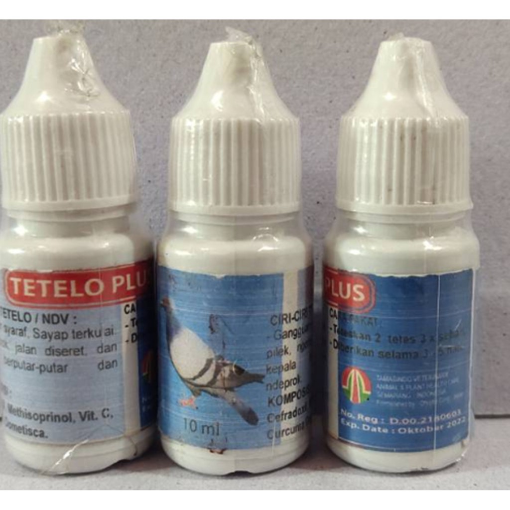Tetelo plus obat tetelo merpati