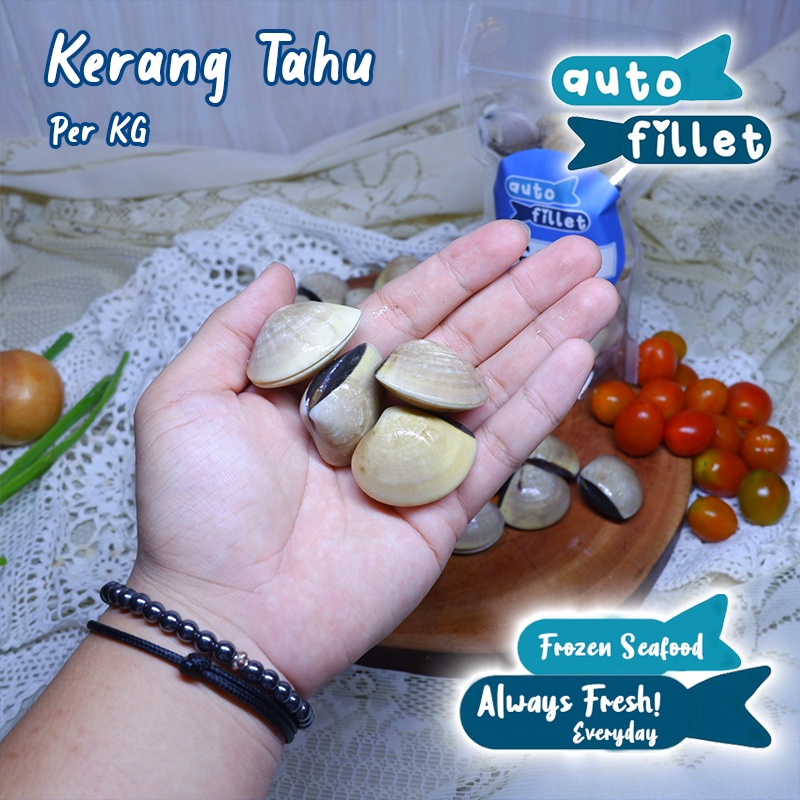 

KERANG TAHU LIVE HIDUP FRESH KUALITAS PREMIUM MURAH GRAB GOSEND