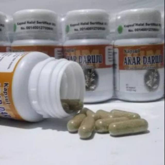 

Kapsul akar daruju