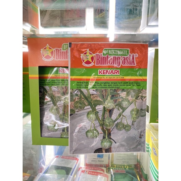Bibit/Benih Terong Lalap Kenari Bintang Asia