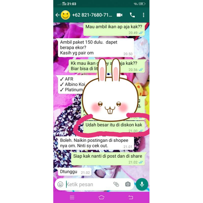 paket HEMAT IKAN GUPPY mix riques agan2 //promo guppy murah