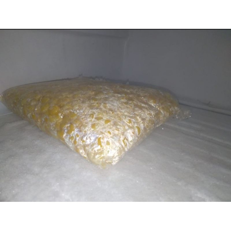 

Jagung Pipil 1kg
