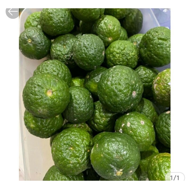 

jeruk limo 250gr