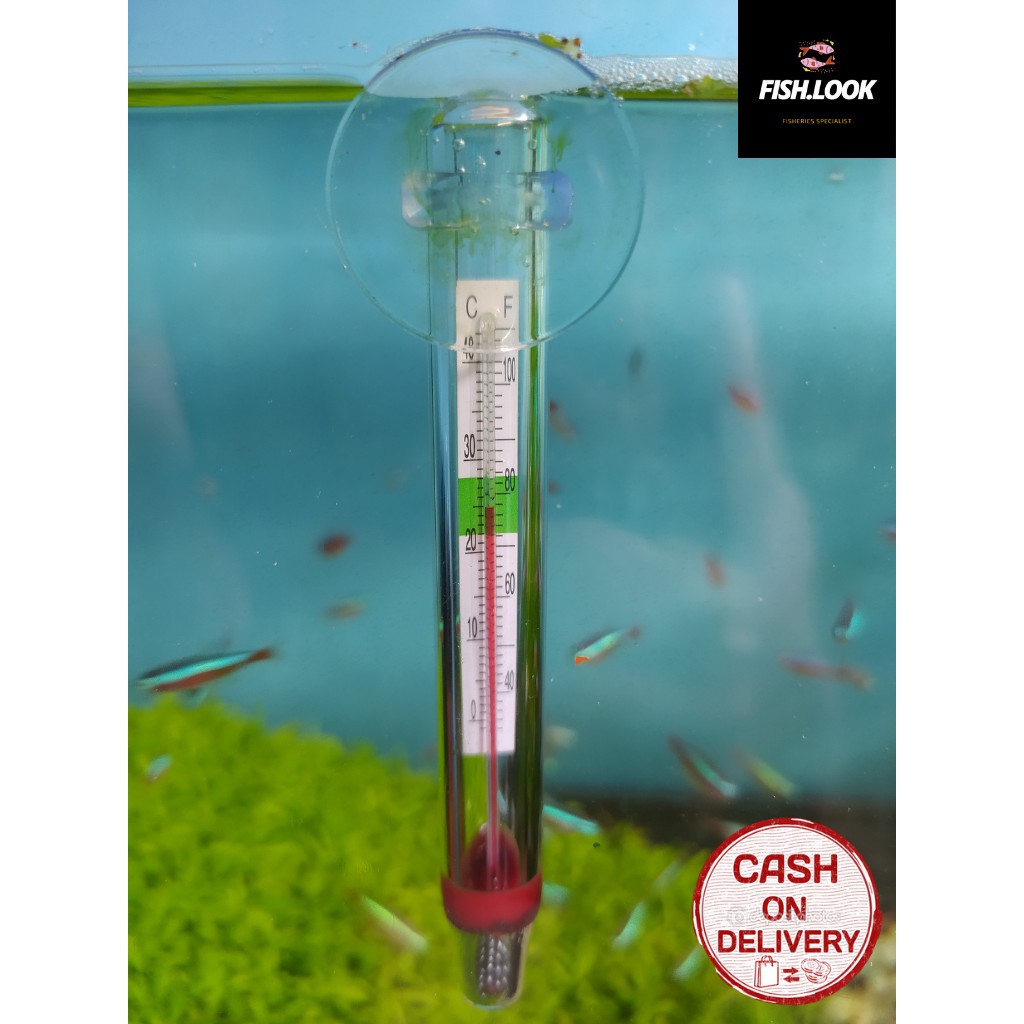 Termometer Aquascape / Alat Pengukur Suhu Aquarium Aquascape Thermometer
