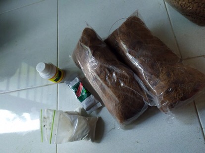 Fungisida Pestisida Antracol 35gram Repacking