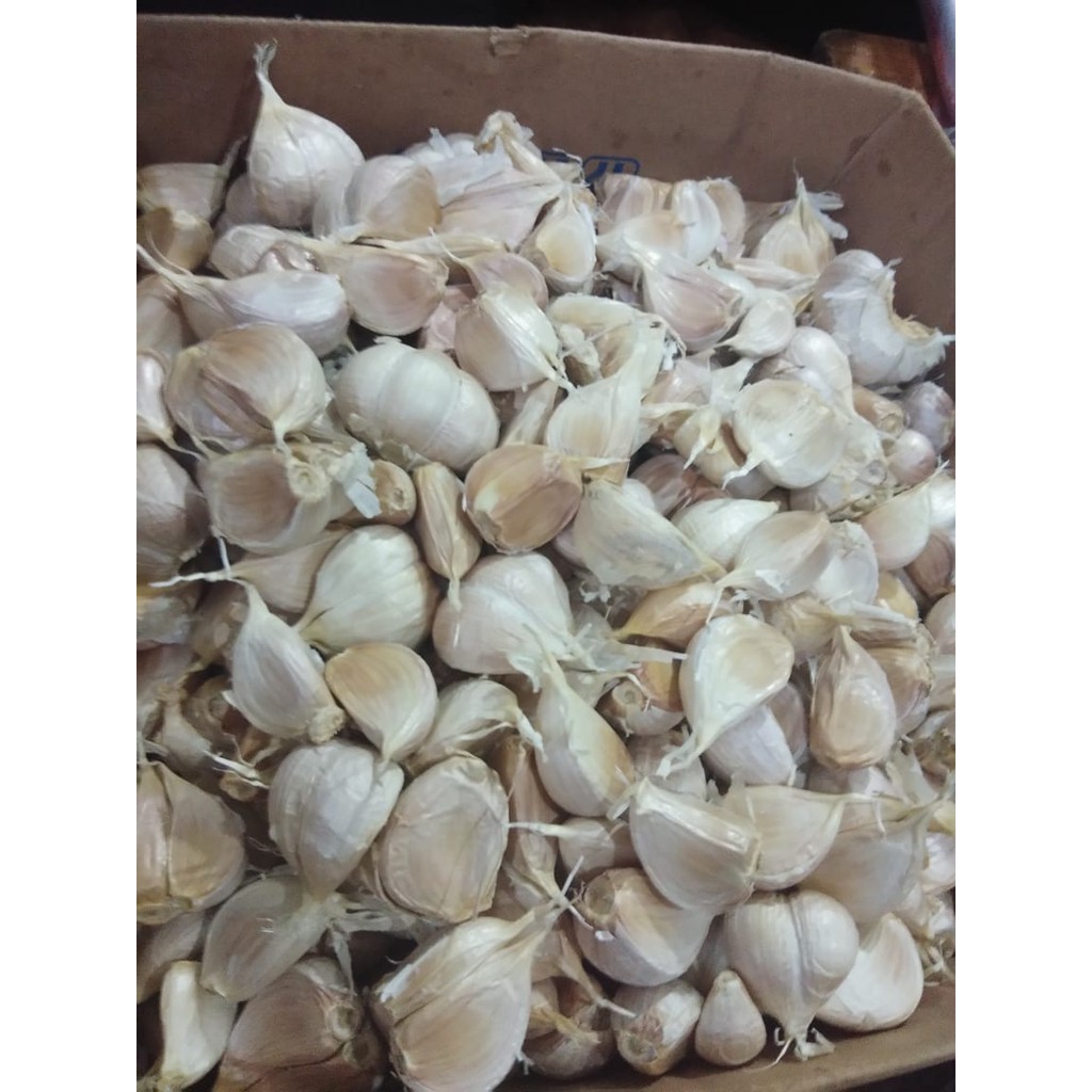 

bawang putih 1kg