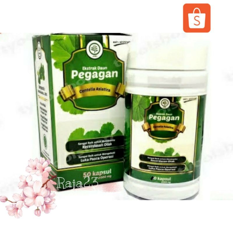Kapsul Ekstrak Daun Pegagan Ash Shihhah