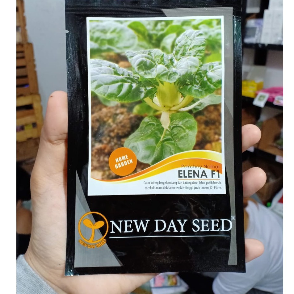 NDS - benih PAKCHOY NAIBAI ELENA isi 2 gram - benih pakchoy putih - new day seed