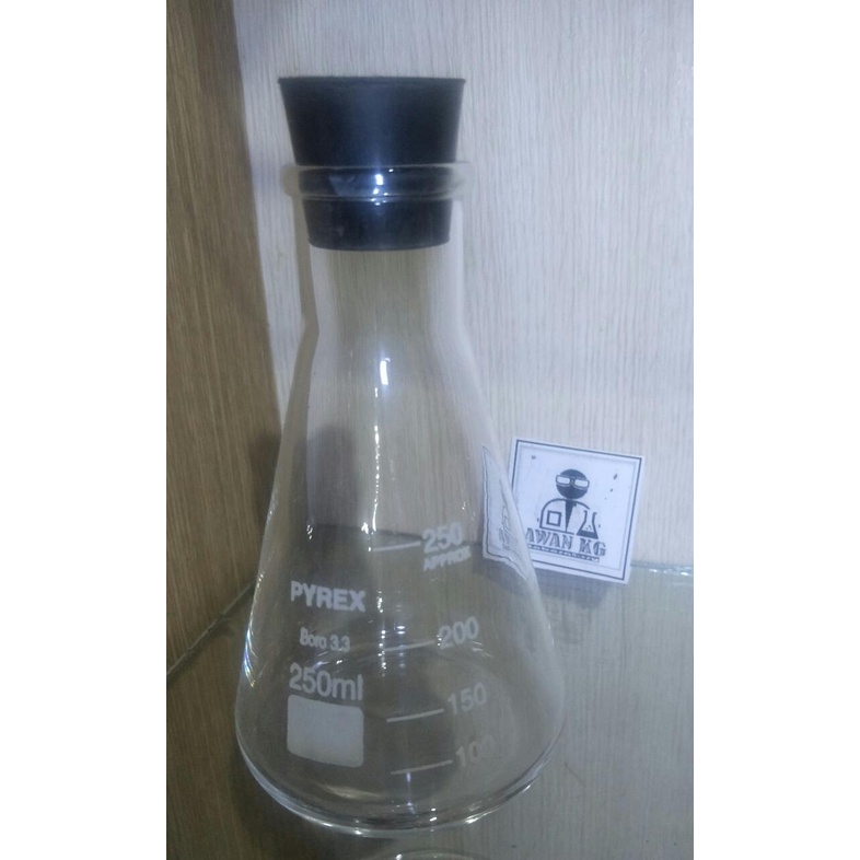 Jual Erlenmeyer 250ml Pyrex Labu Erlen Erlenmeyer Flask Shopee Indonesia 3967