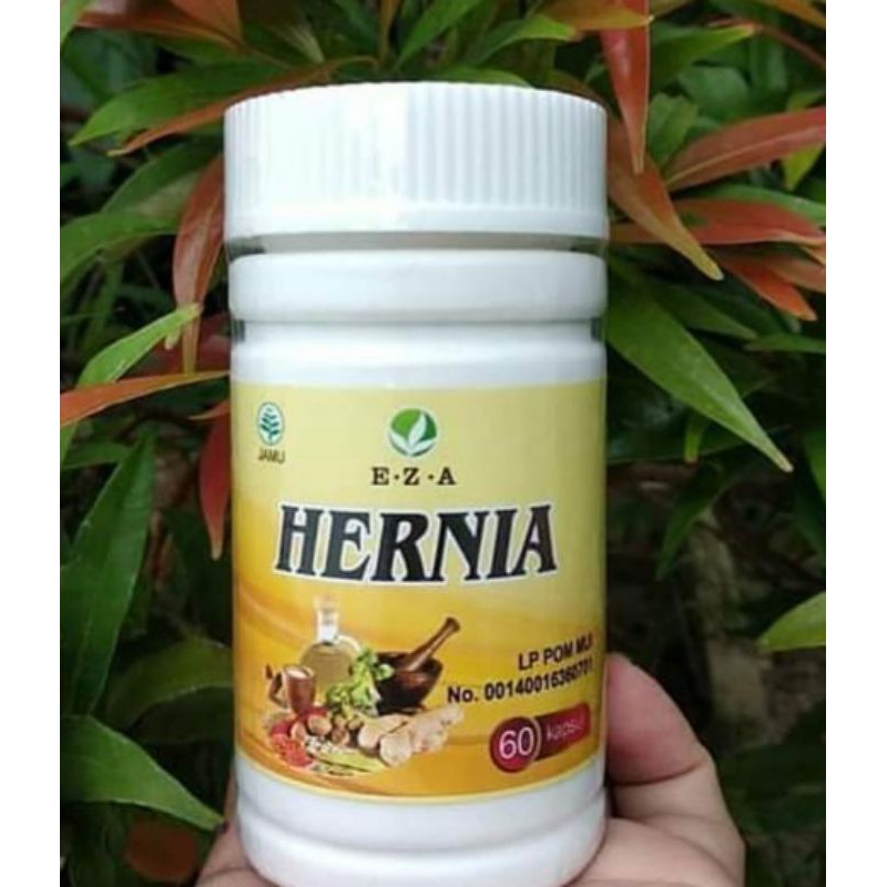 kapsul herbal hernia