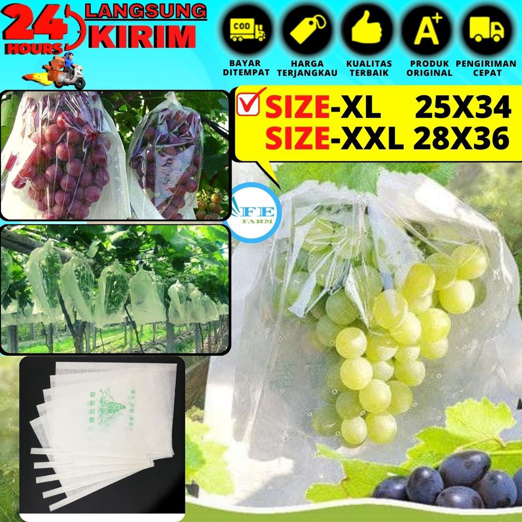 Fruit Cover Brongsong Buah Anggur, Klengkeng, Strawberry Dll, Pembungkus Buah FEFARM