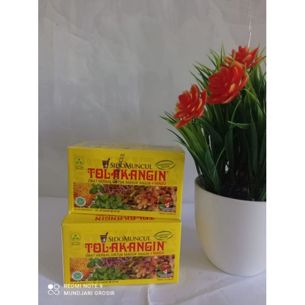 Tolak Angin cair 1 dus isi 12 Mundjari Grosir Cilacap Kawunganten