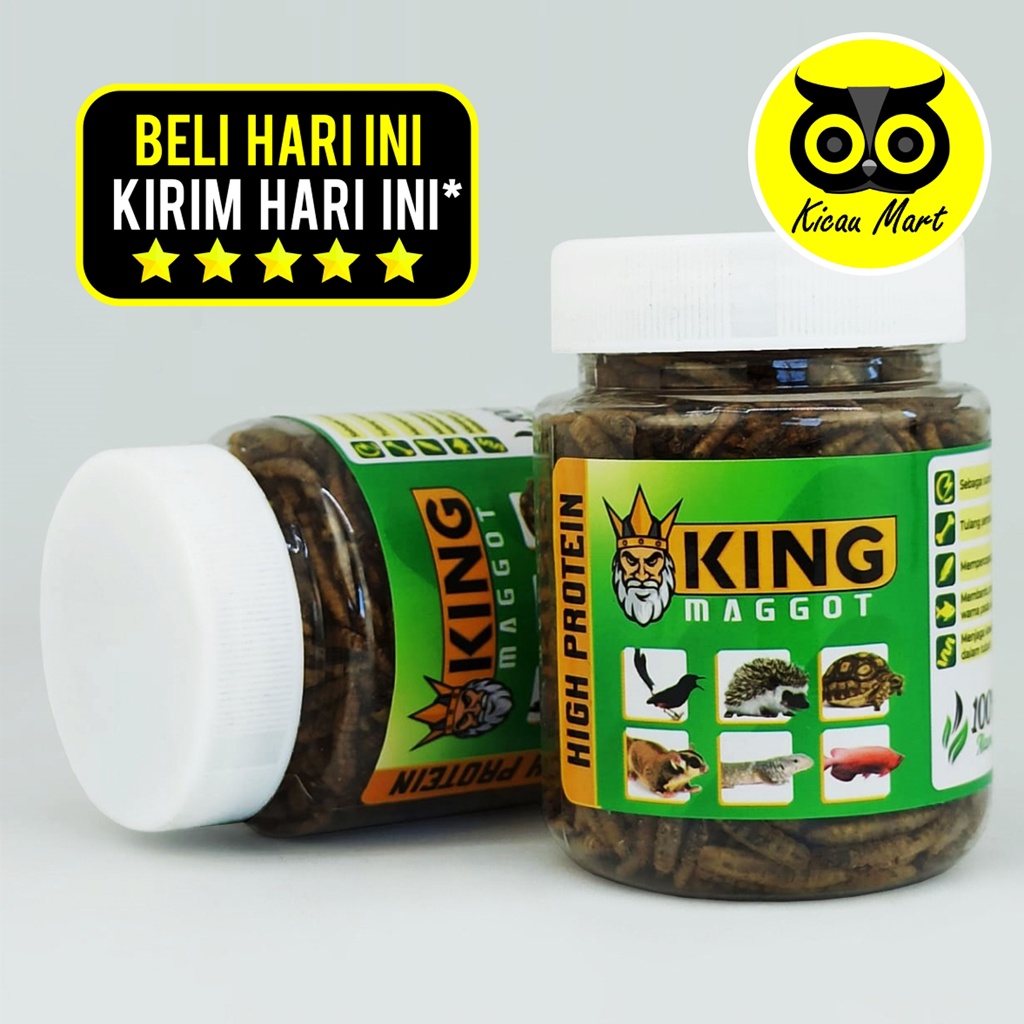 King Maggot Sempati Larva Bsf Super Dry Maggot Kering Pakan Burung Sugar Glider Kura Kura Gecko Leopard Reptil Landak mini Ikan Arwana Cemilan Snack Hewan