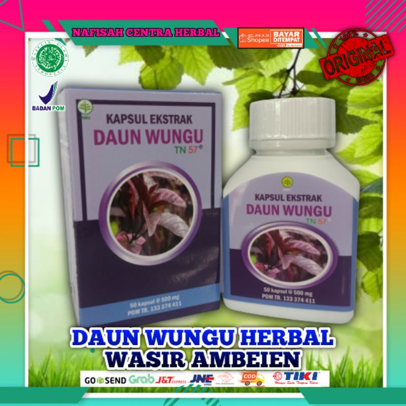 

Kapsul Ekstrak Daun Wungu | Solusi Atasi Wasir Dan Ambeien