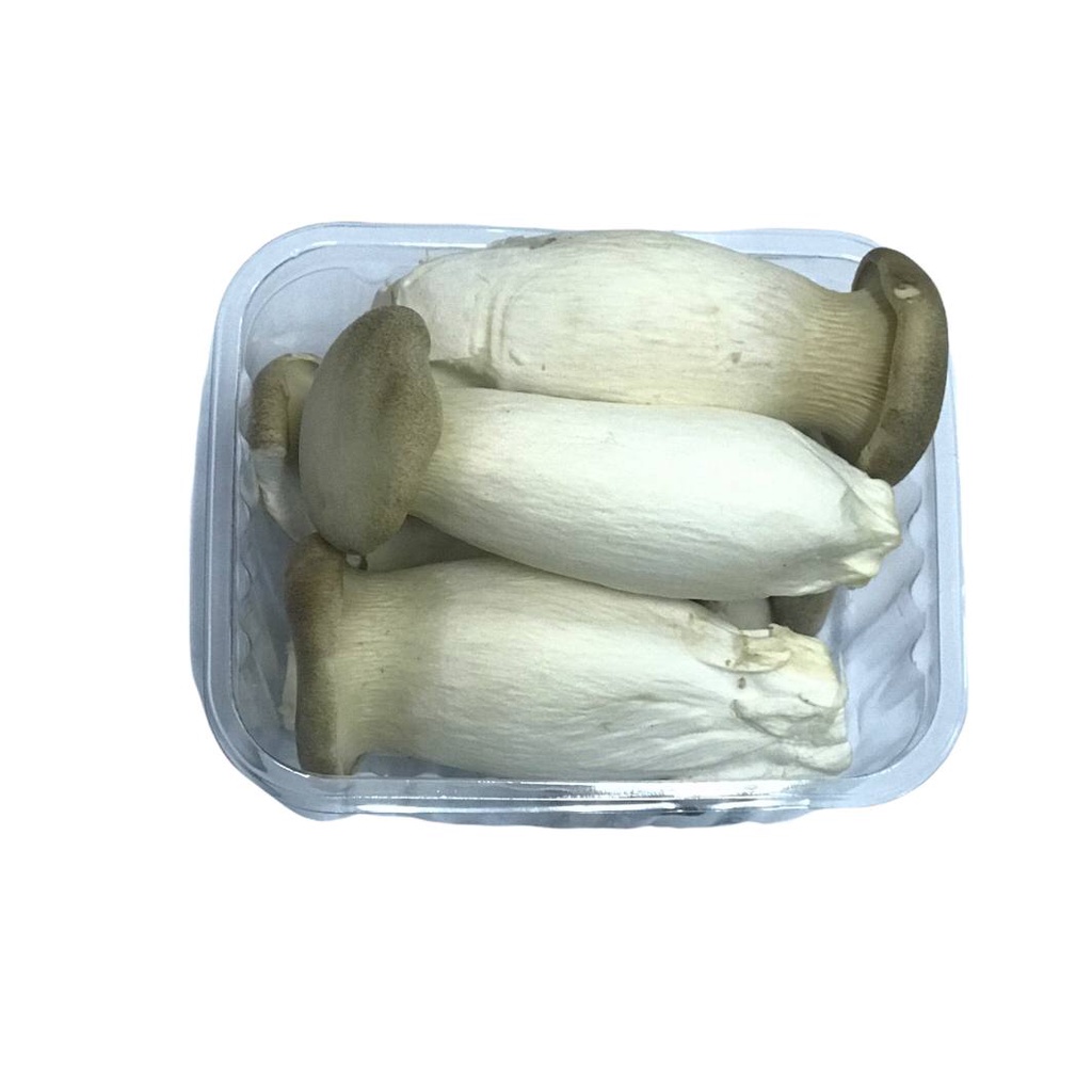 

My Fruit Vege Surabaya - Jamur King Oyster [by PCS]