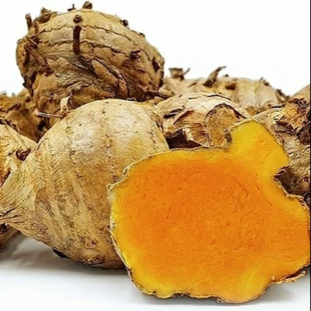 

Temulawak segar organik 1 kg / Temulawak fresh organik