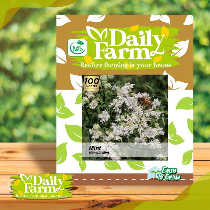 Benih Bibit MINT Mountain Mint - Bibit Daun Mint Seed