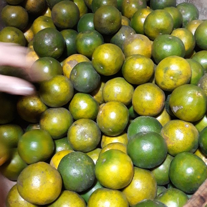 

Jeruk Peras Manis Segar Buah Fresh - 500 Gram