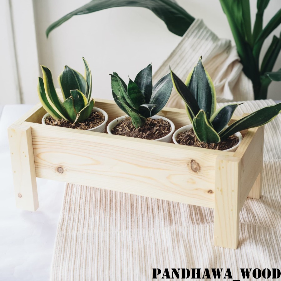 Pot Kayu Kaktus Suculent | Wooden Planter Box Kaktus