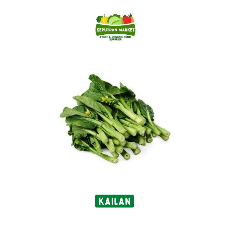 

Daun Kailan Per Kg / Produk Langka