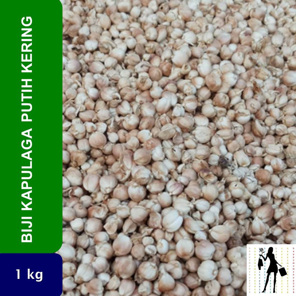 

Biji Kapulaga Putih 1 kg
