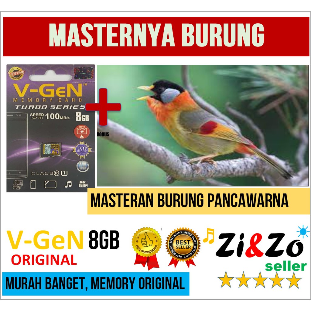 Masteran Burung Kicau Pancawarna Gacor