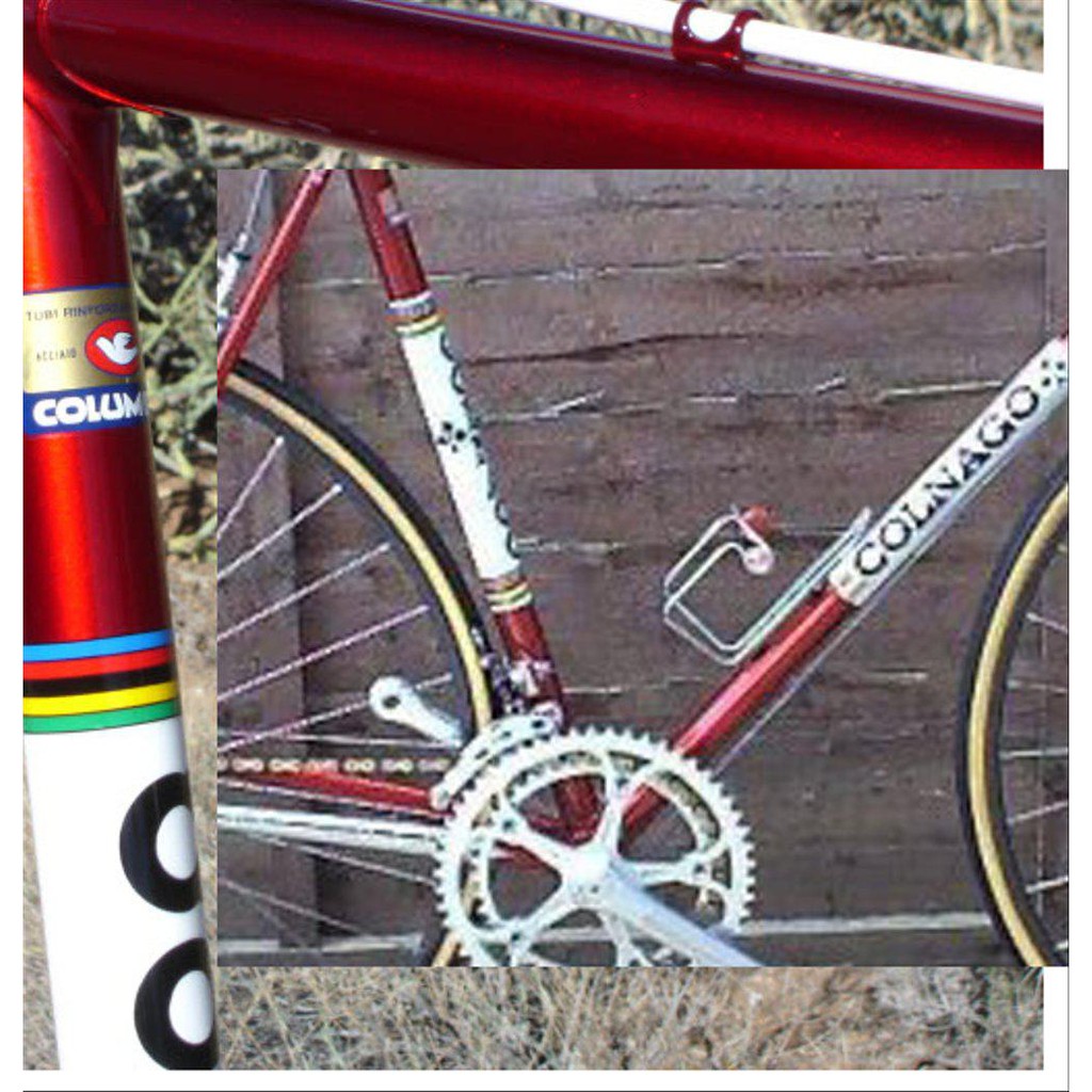 fixie colnago