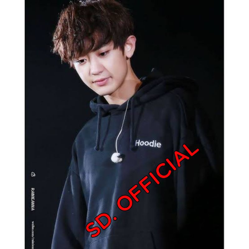 Jaket Hoodie Jumper Chanyeol Hoodie Logo