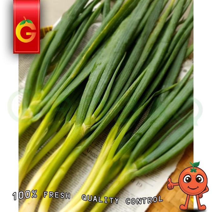 

DAUN BAWANG FRESH 250 GRAM