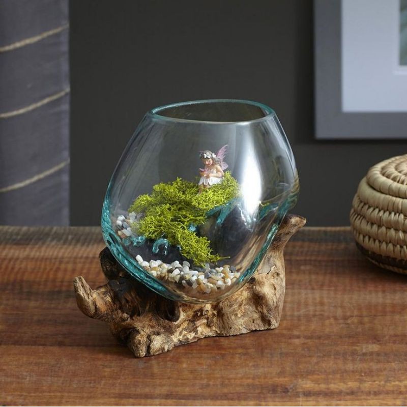 AQUARIUM IKAN CUPANG/ AKUARIUM AKAR KAYU /IKAN CUPANG