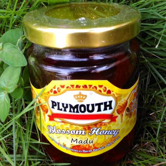 

Madu / Blossom Honey 250gr merk Plymouth