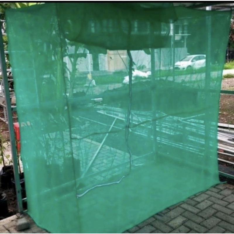 Kandang Lalat Bsf Maggot ukuran 2 m x 2 m x 2 m / kandang maggot / kandang bsf