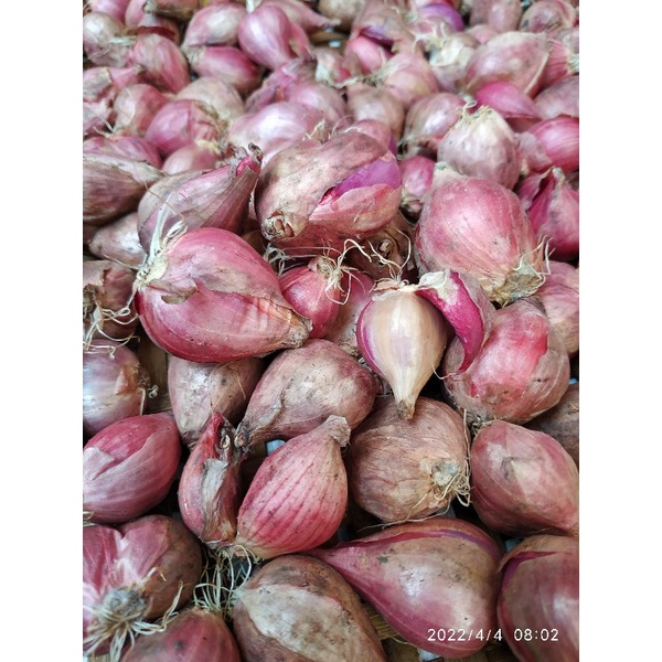 

bawang merah /250gr