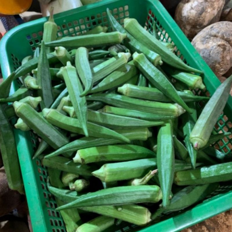 

Sayur Okra Hijau Segar