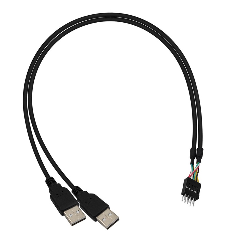 Btsg Dual USB-A Male Header Ke Motherboard 9Pin Du Pont Konverter Kabel USB Untuk Mainboard Komputer 50cm/19.7in