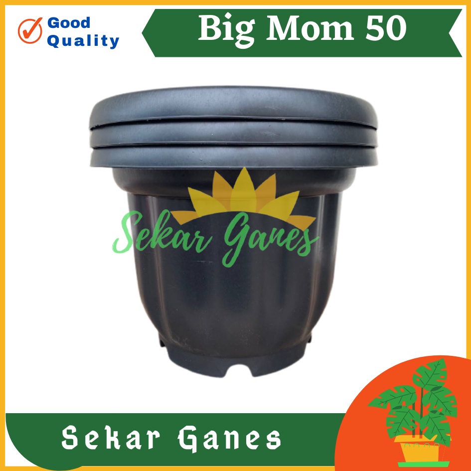 ONLY SAMEDAY AND INSTAN Pot BIGMOM 50 Putih Hitam Merah Bata Merah Coklat Terracota Terracotta  - Pot Besar Jumbo 50cm Pot Besar Plastik Bahan Tebal - Pot Besar Jumbo 100cm 50cm 40cm Putih Tinggi Hitam