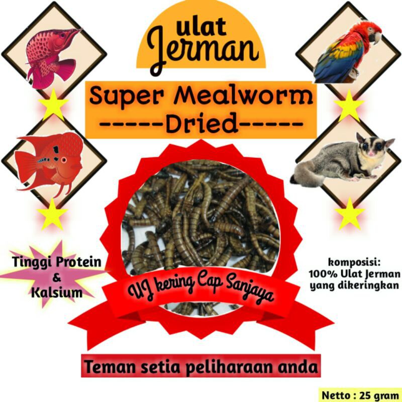 TERMURAH ULAT JERMAN KERING / SUPER MEALWORM DRIED PAKAN / HAMSTER / BURUNG / ARWANA