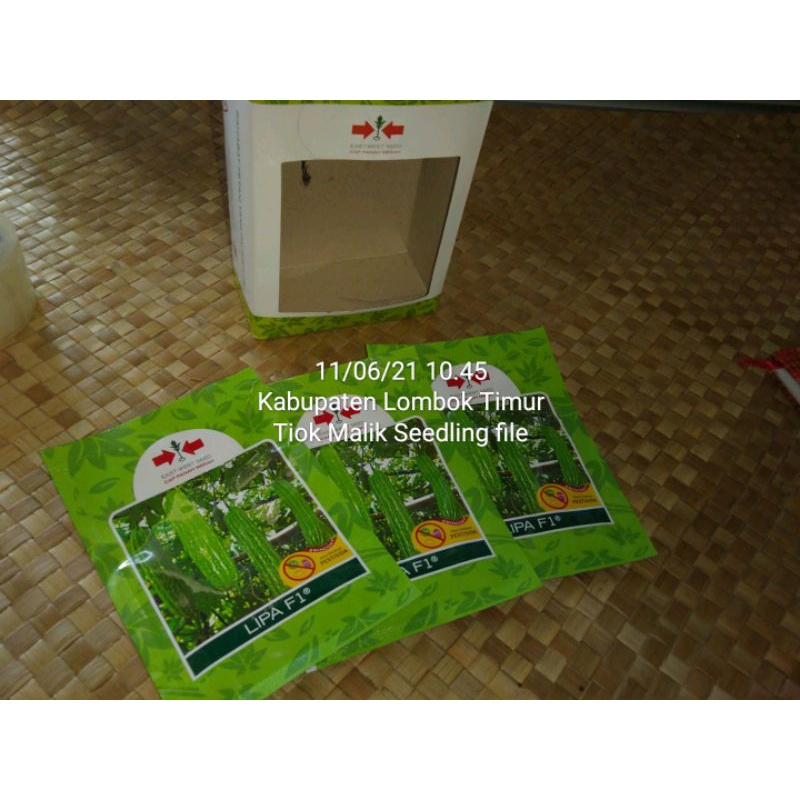 BIBIT PARE LIPA F1 3 BIJI